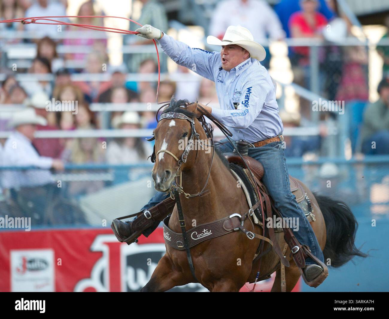 Paul Eaves Roper Lonedell hi-res stock photography and images - Alamy