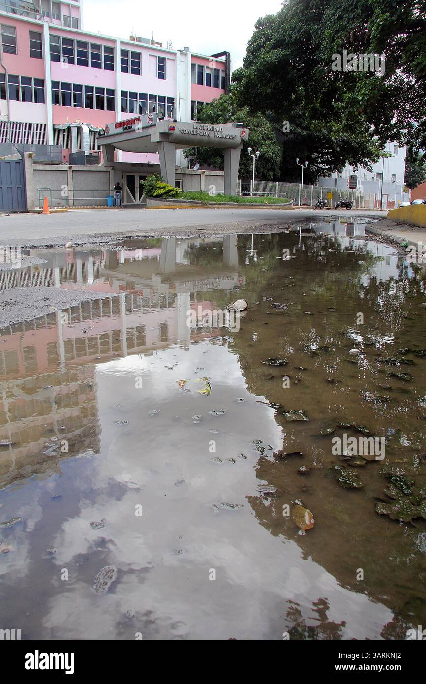 Tsimane Bolivia; 2025 and 2026 availability at Secure, Pluma and Agua Negra  Lodges - Aardvark Mcleod, image size:866x1390