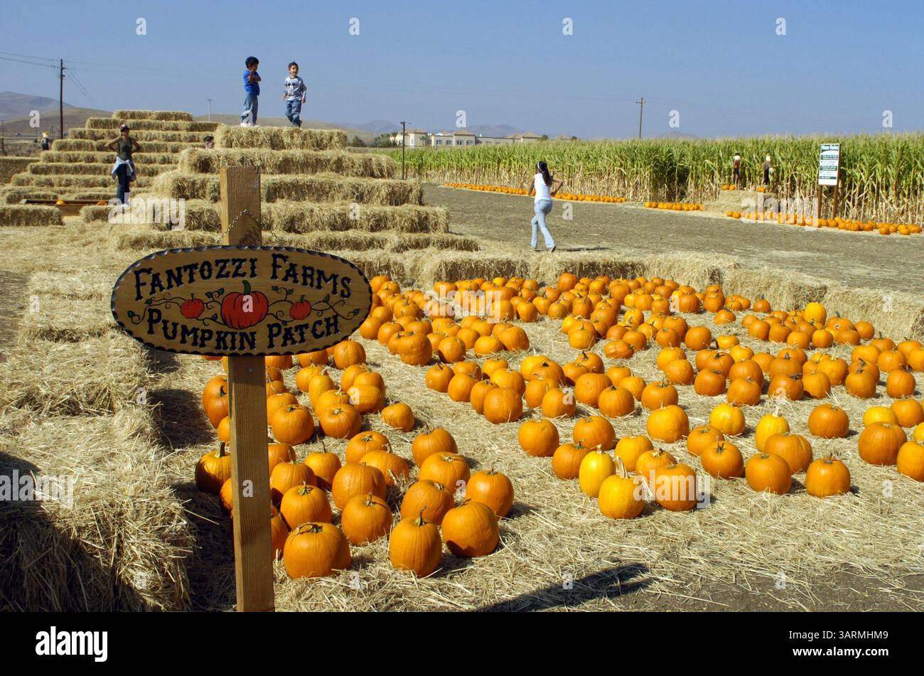 Hay bale rides hi-res stock photography and images - Alamy
