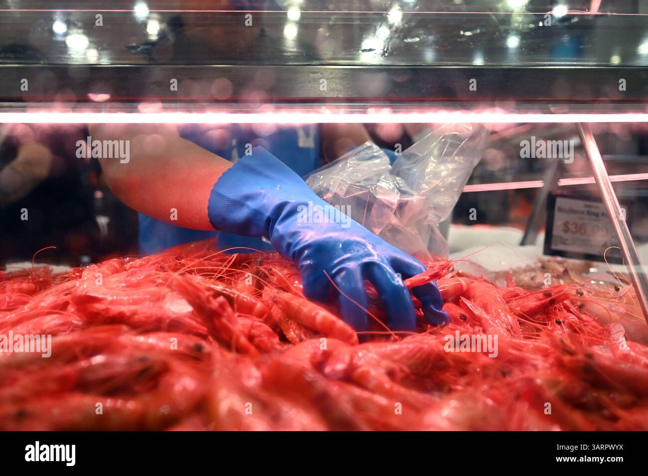 Sydney Australia 18th Apr 2025 Shoppers Buy Seafood During The sydney-australia-18th-apr-2025-shoppers-buy-seafood-during-the