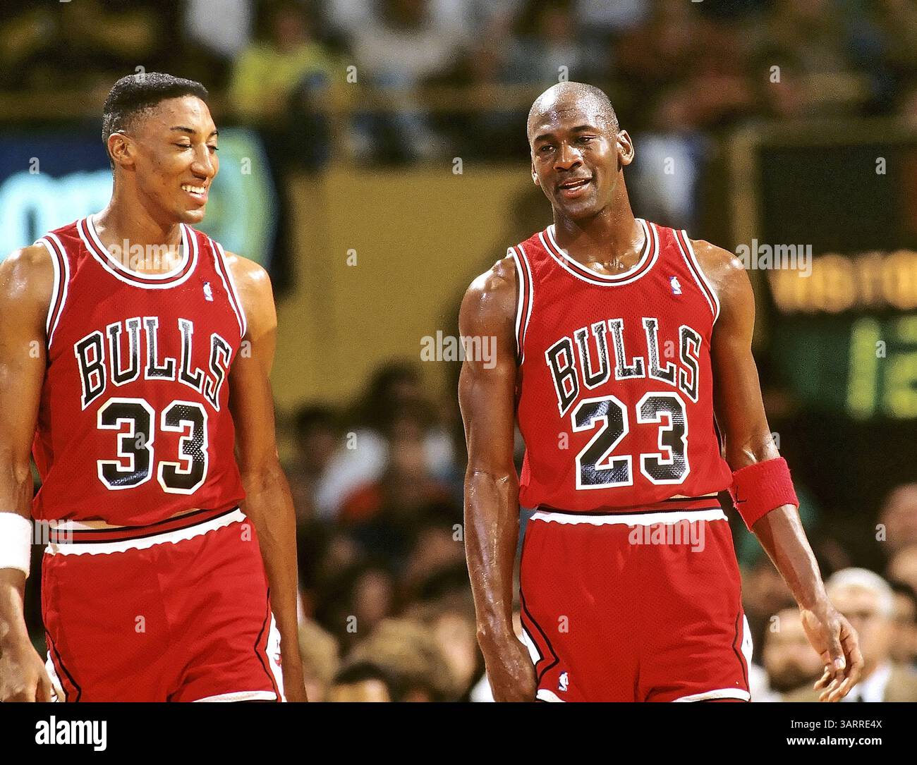 chicago bulls jordan pippen