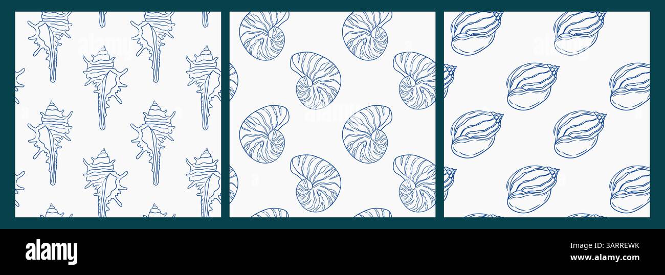 Intricate marine shell patterns displayed on a clean white background Stock Vector