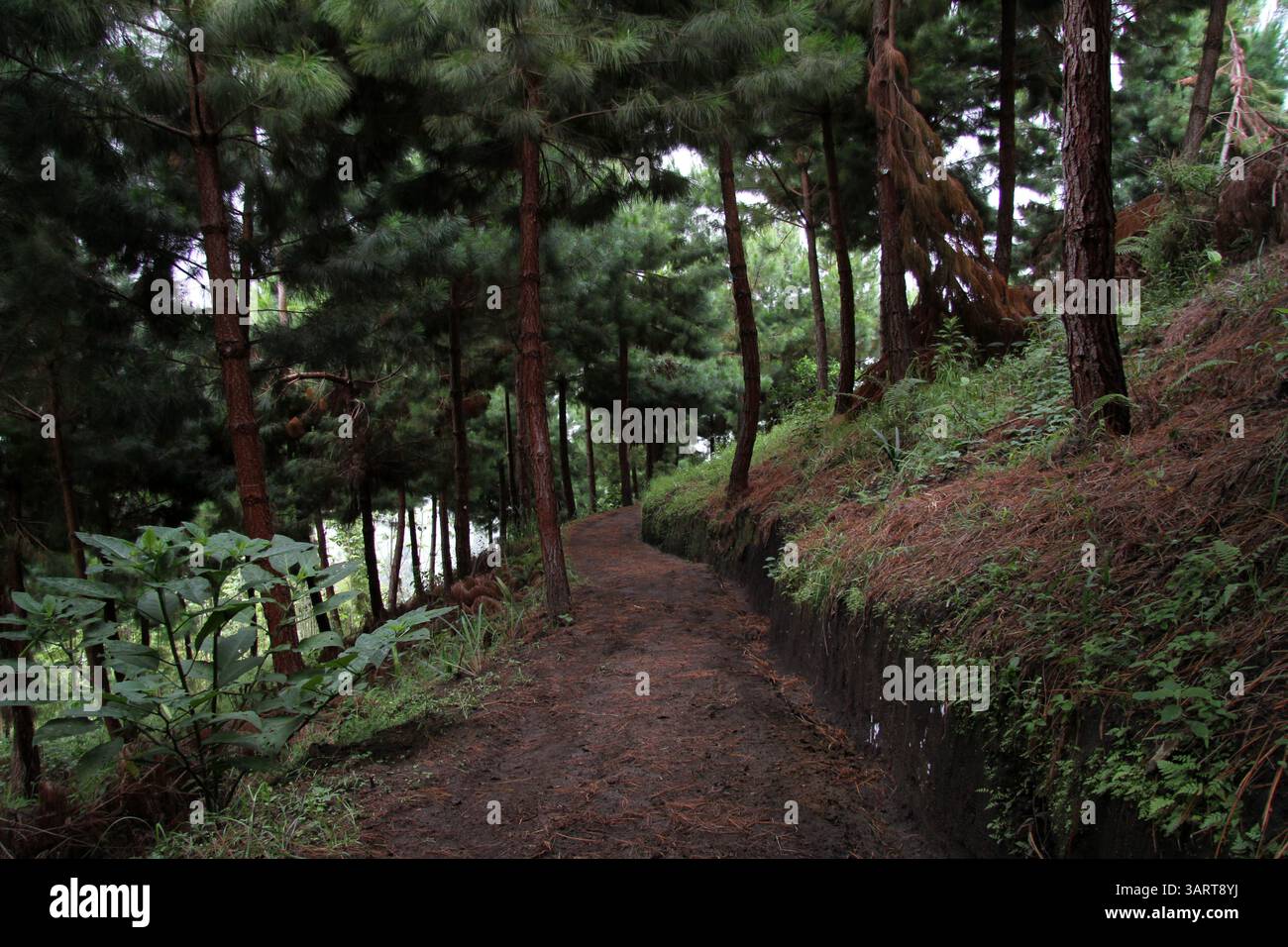 Recorrido por el sendero hi-res stock photography and images - Alamy