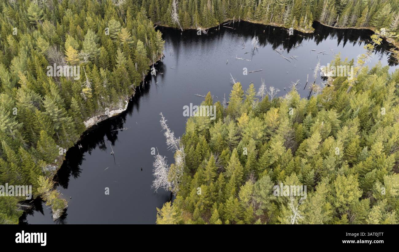 Boreal forest canada hi-res stock photography and images - Alamy