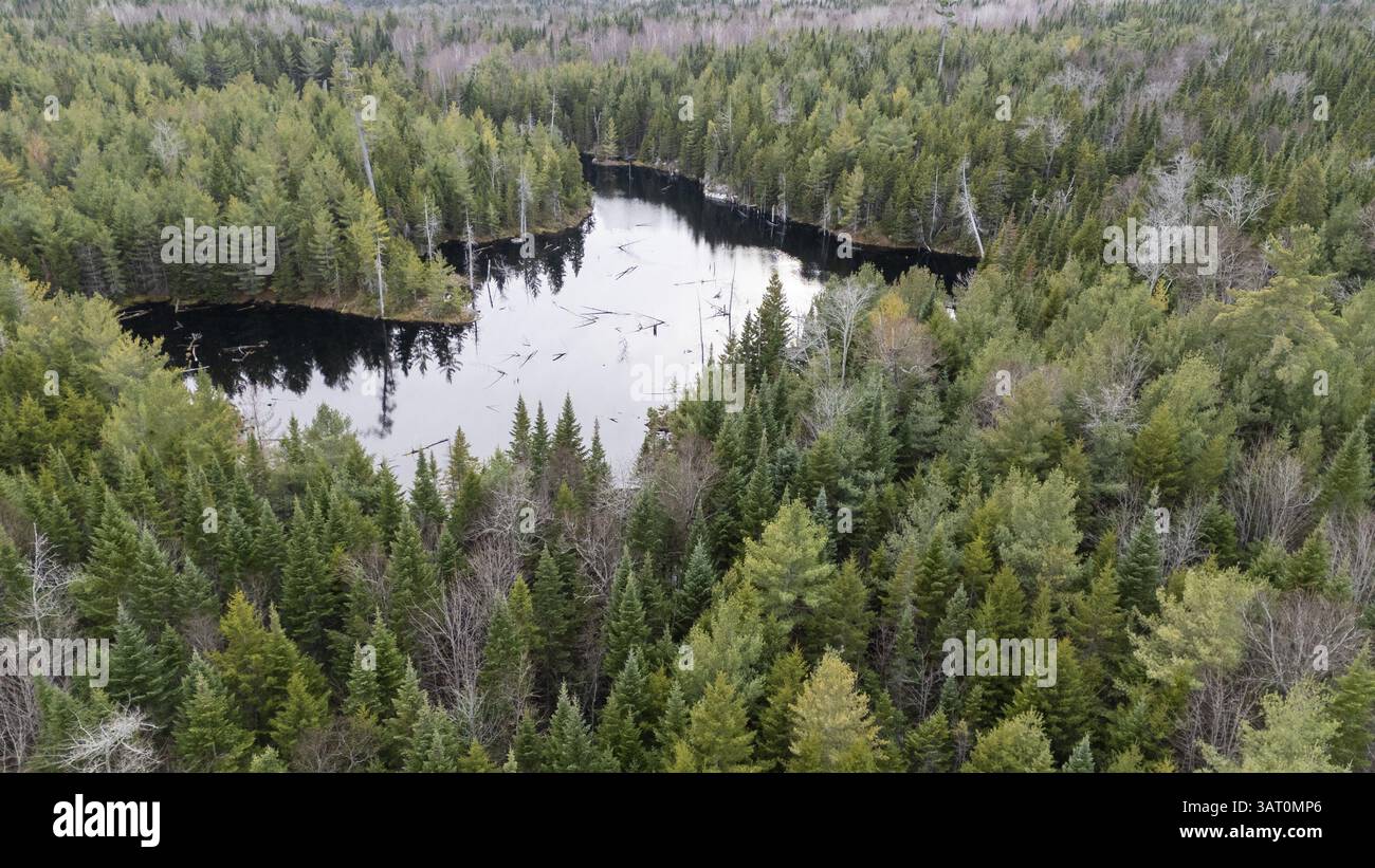 Boreal forest canada hi-res stock photography and images - Alamy