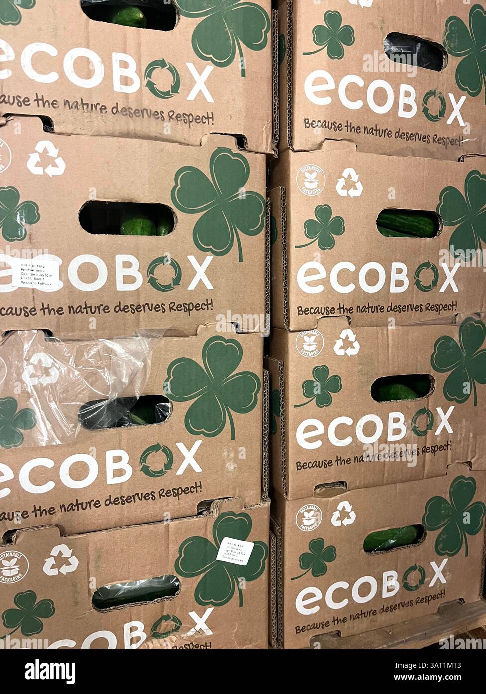 Ecobox, cardboard boxes warehouse, stacked boxes, eco-friendly, recyclable packaging, eco storage, shipping, logistics, sustainable logistics - Smartphone Captured Stock Image