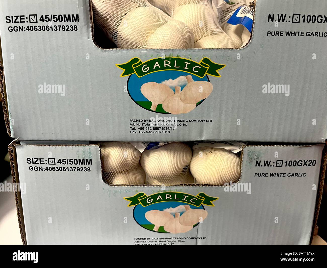 Packaged garlic boxes prepared for distribution, showing bulk packaging for retail or food service supply - Smartphone Captured Stock Image