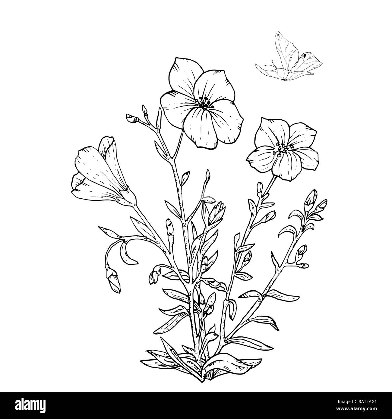 A wildflower with leaves and butterfly. Black and white vector illustration. Beadow flowers and grasses, fluttering butterflies isolated on a white ba Stock Vector