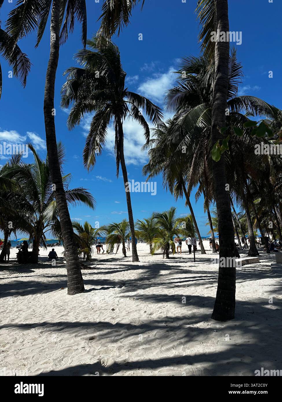 Wild landscapes, golden sunsets, hidden beaches: discover the vibrant soul of Mexico through breathtaking natural wonders - Smartphone Captured Stock Image