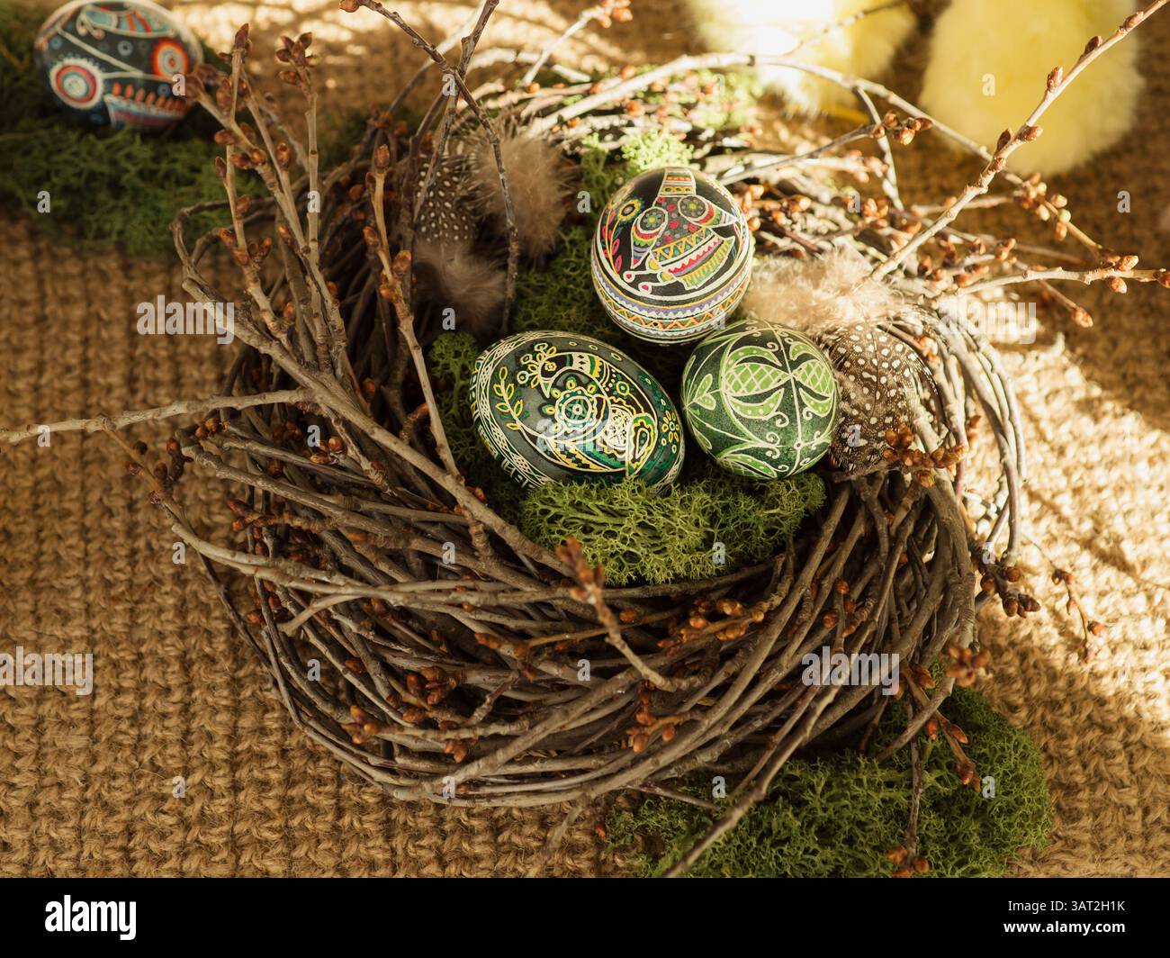Three Easter Eggs in Nest with Chicken in Sunlit Backdrop Stock Photo