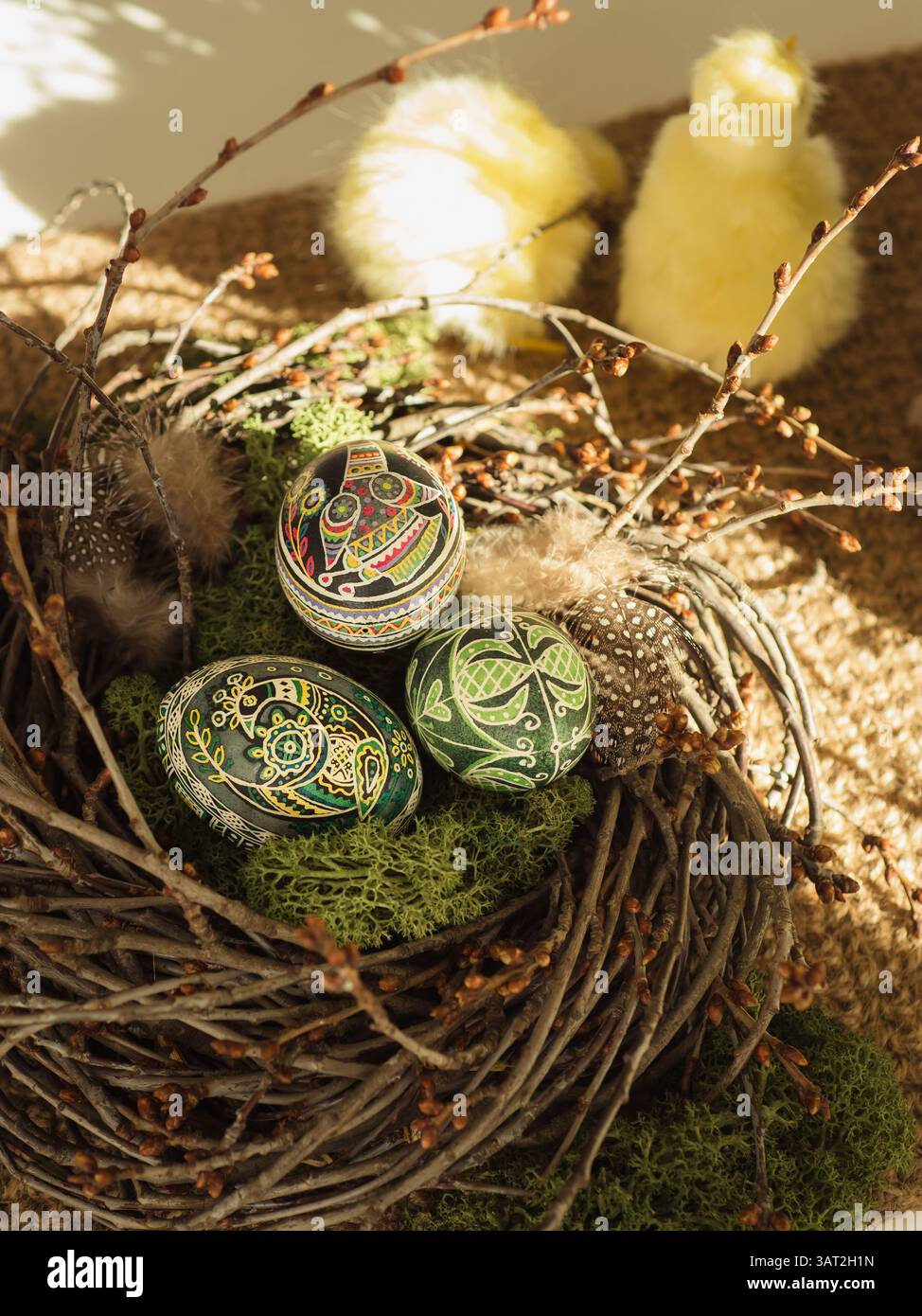 Three Easter Eggs in Nest with Chicken in Sunlit Backdrop Stock Photo