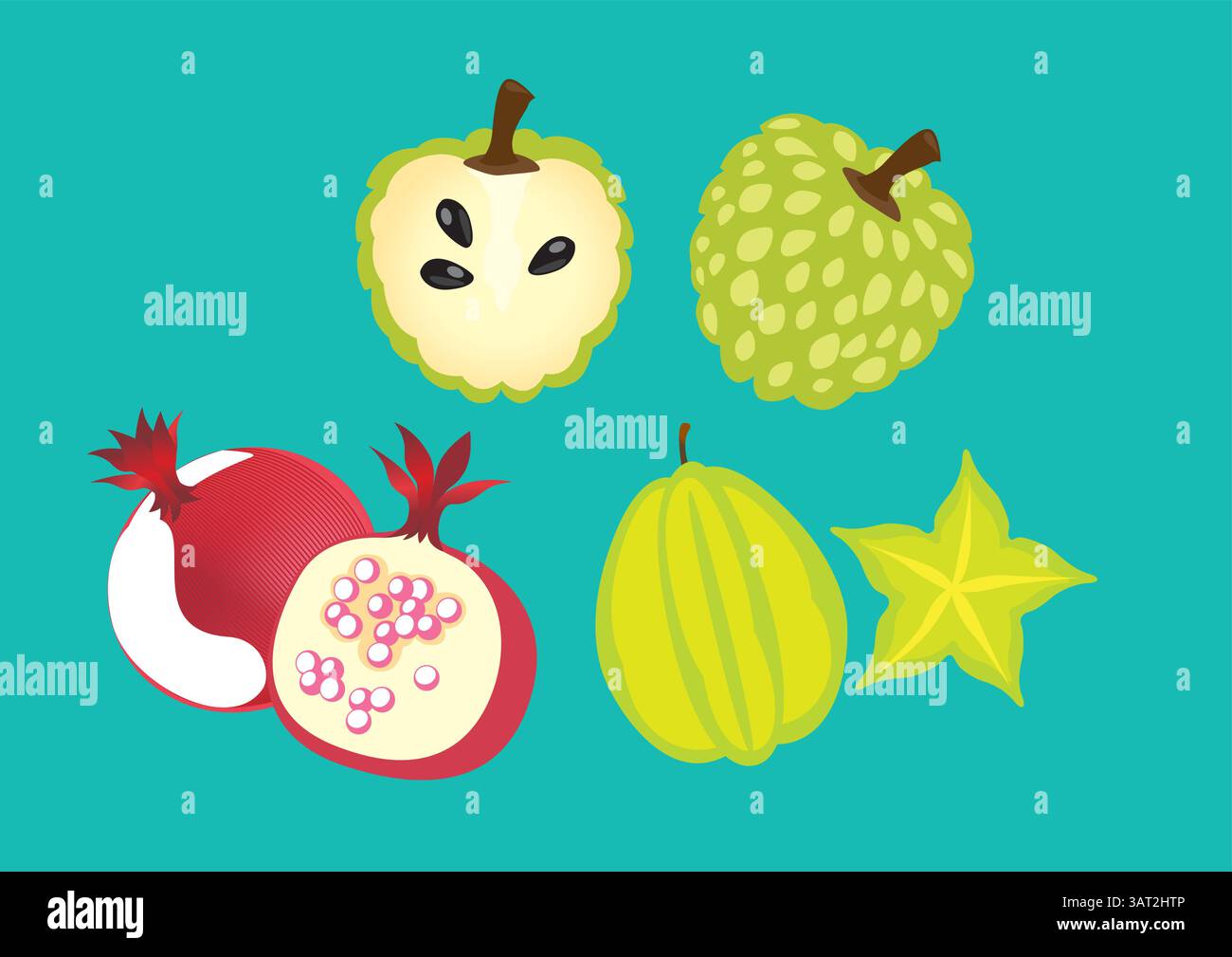 Fruits of Thailand Custard Apple, Star Apple, Pomegranate Stock Vector