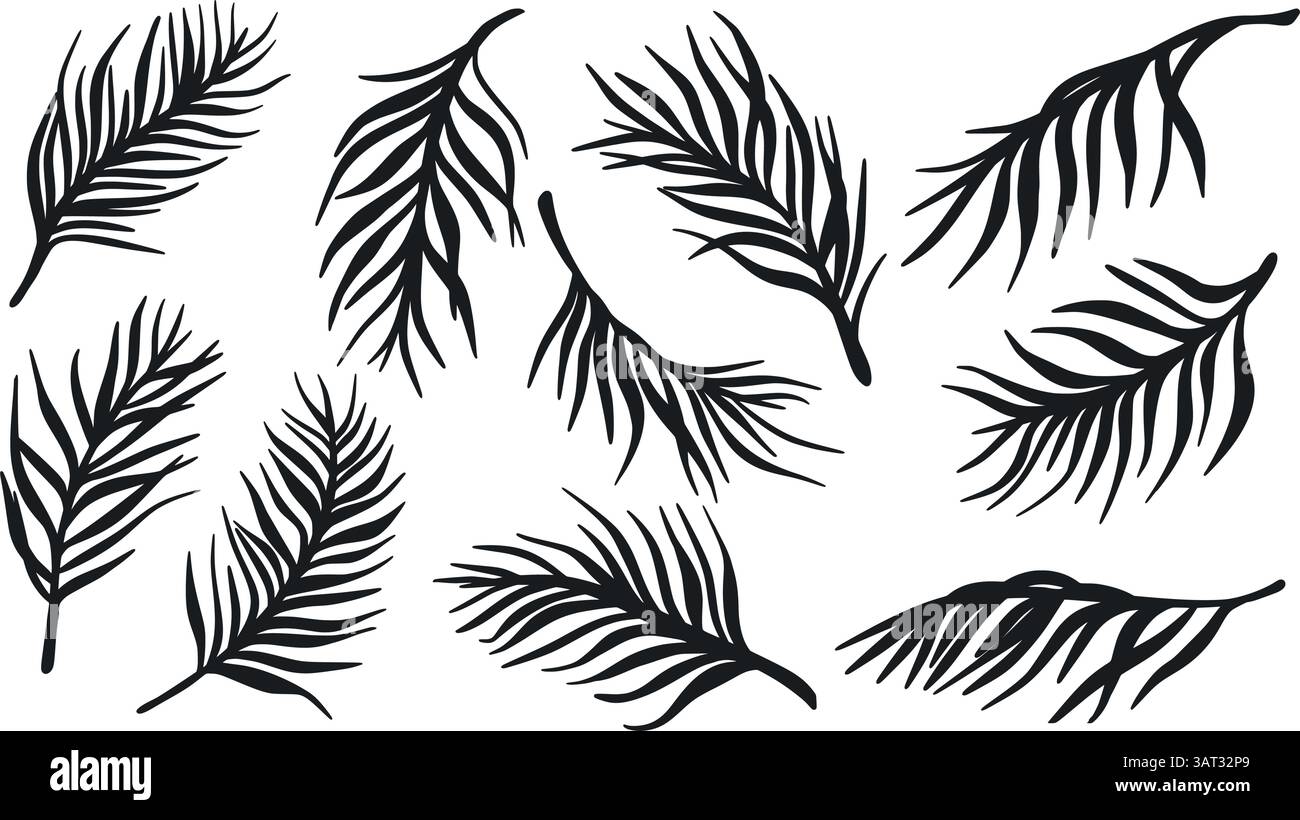 Palm leaves in silhouette set Stock Vector Image & Art - Alamy