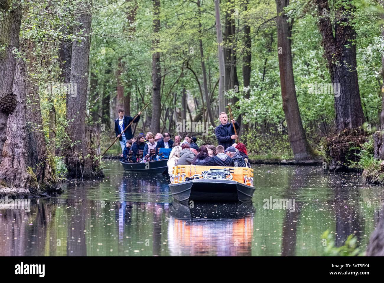 Lehde, Germany. 18th Apr, 2025. Boat ferrymen punt their passengers in