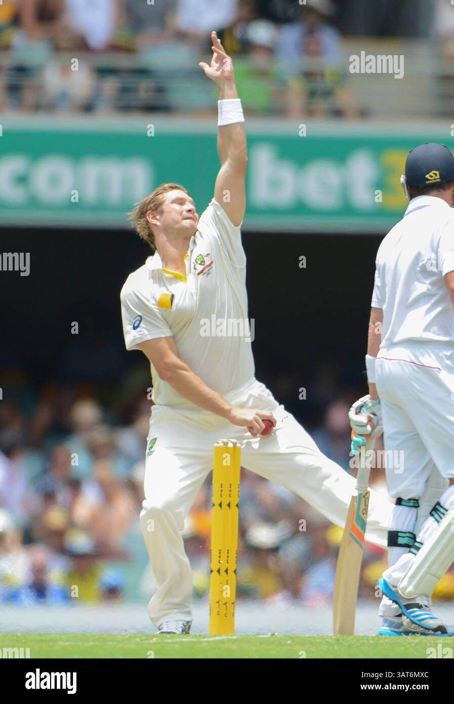 Shane watson hi-res stock photography and images - Alamy, image size:897x1390
