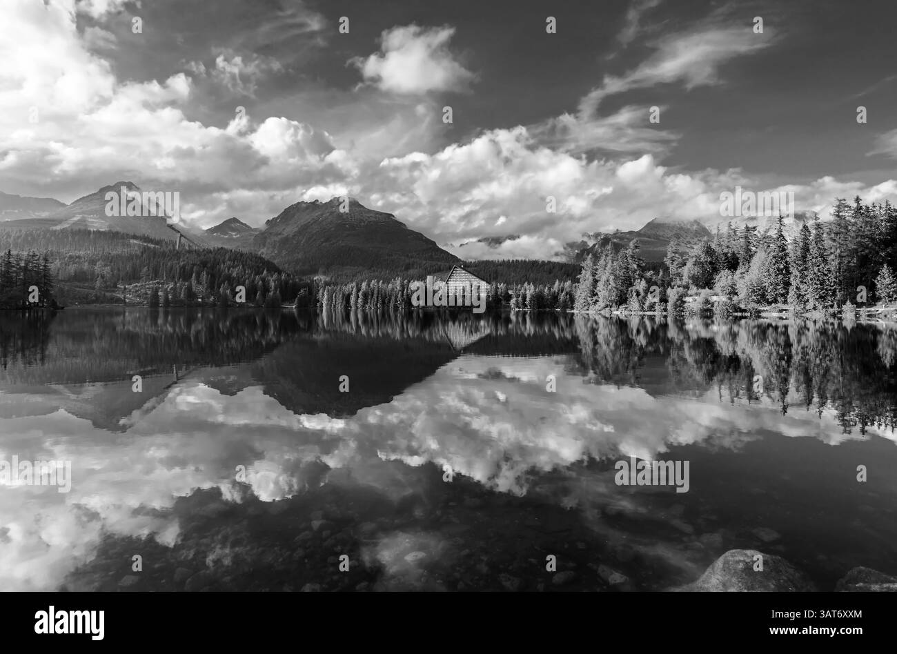 Photos Publicitaires ALPA – 8 Tirages N&B, Excellent état, Suisse, Collection