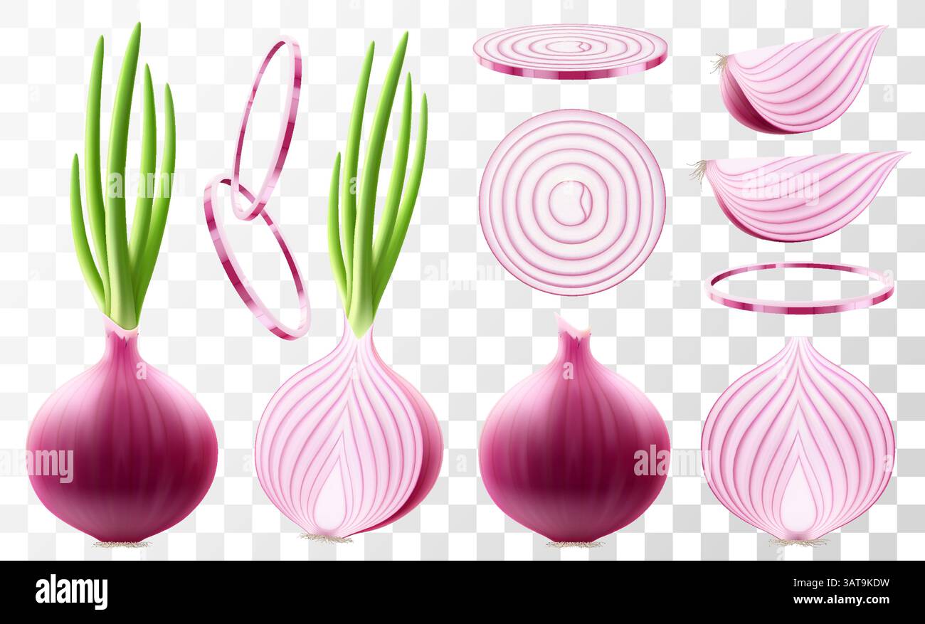 Whole, half and slices of fresh onion. Set of ripe red onion with green ...