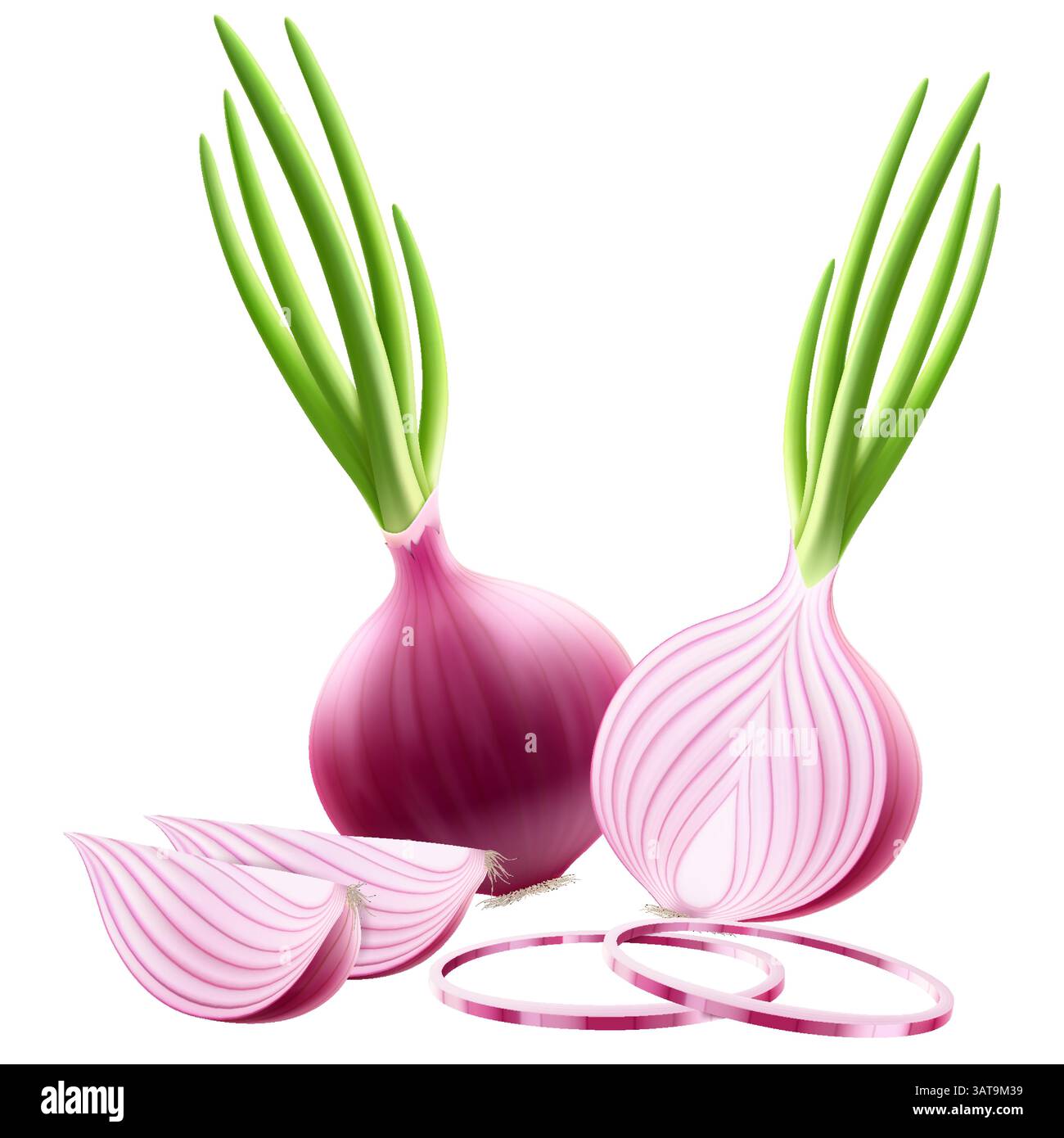 Whole, half and slices of fresh onion. Set of ripe red onion with green ...