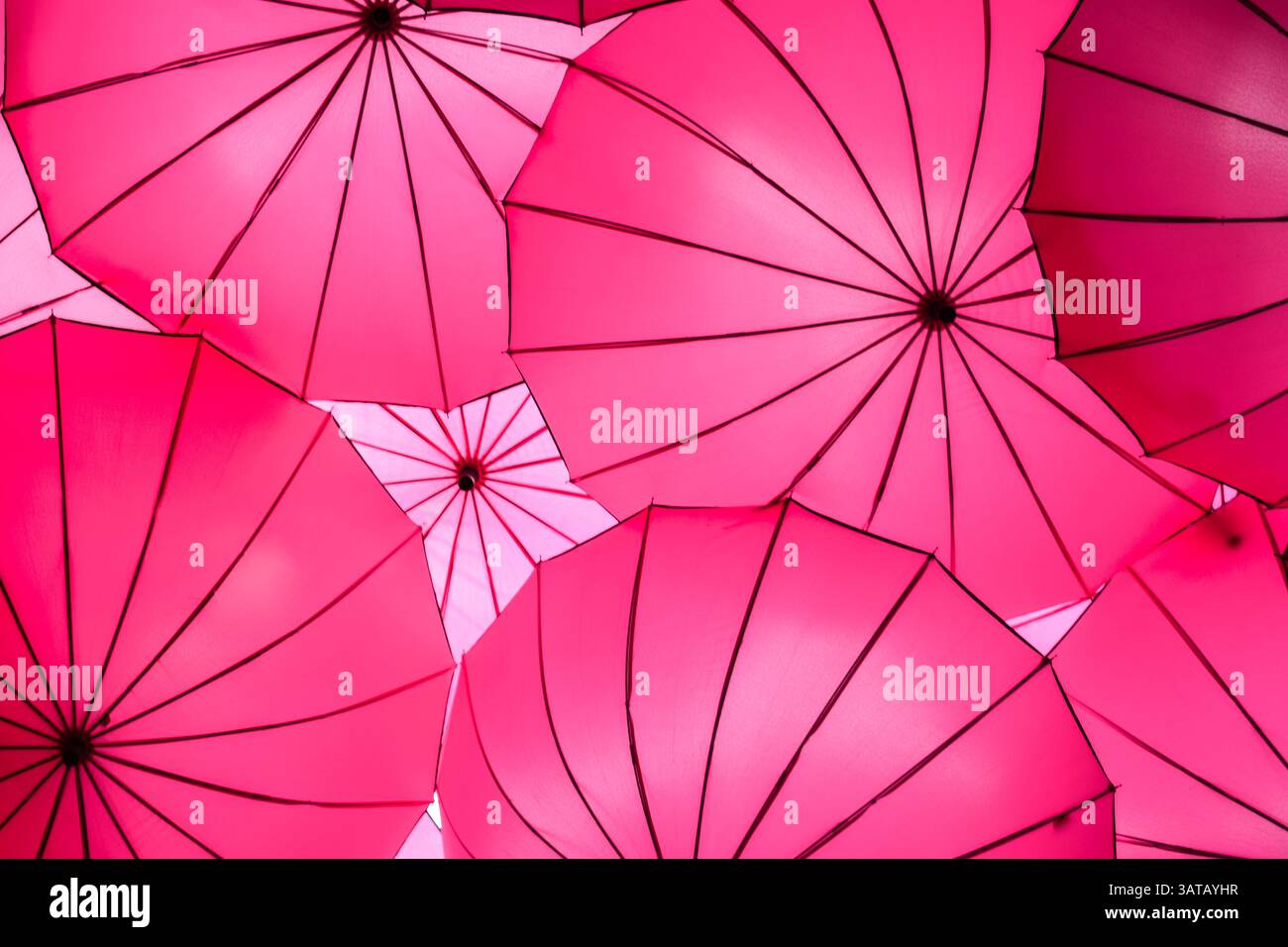 Multiple bright pink umbrellas background Stock Photo