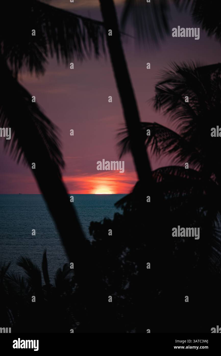 Tropical beach sunset with rich purple and orange sky, palm trees in shadow, and the sun partially hidden by the horizon. Stock Photo