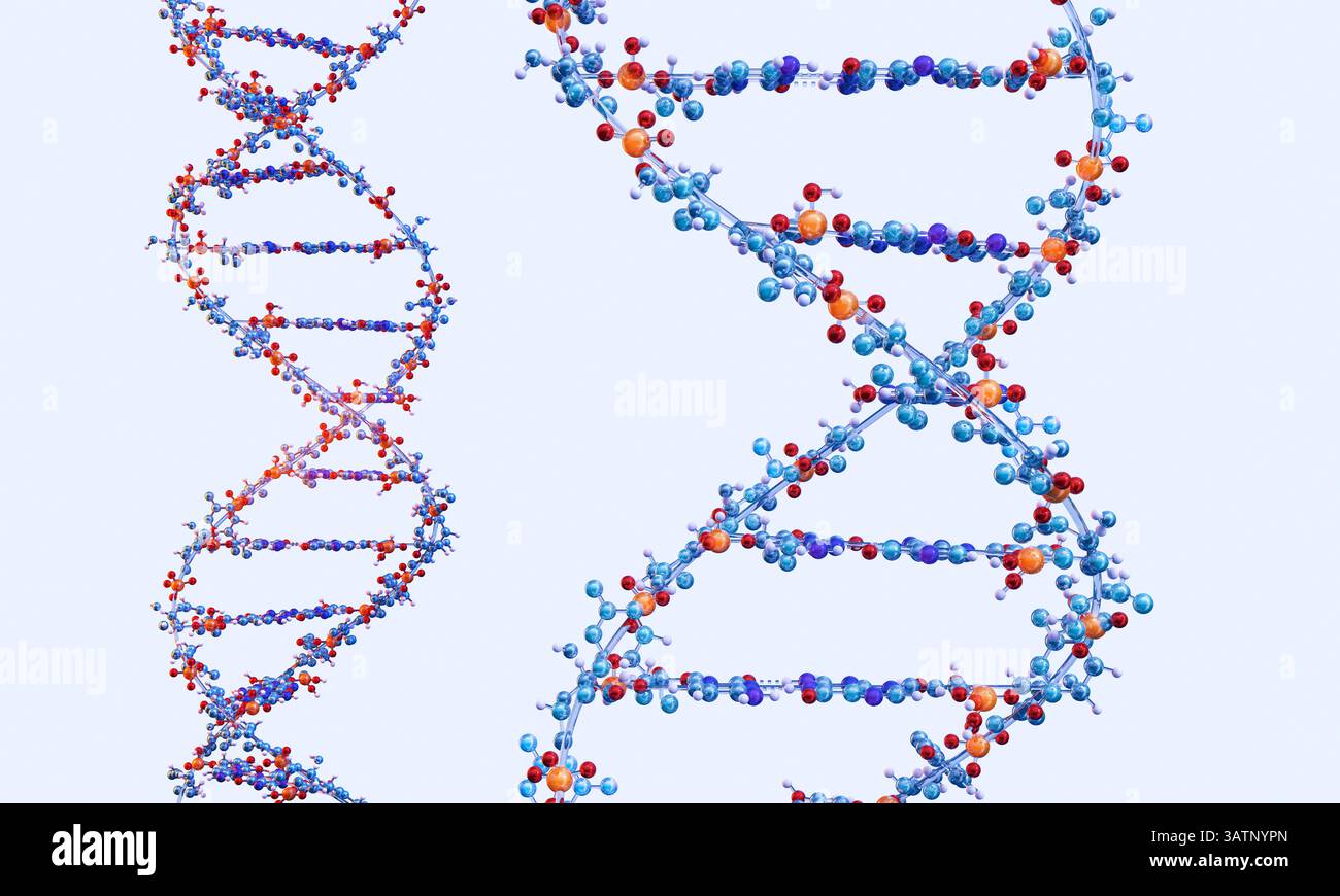 Illustration of a DNA (deoxyribonucleic acid) molecule Stock Photo - Alamy
