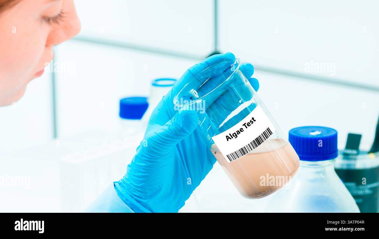 Algae test. Quantifies the presence of algae in water. Stock Photo