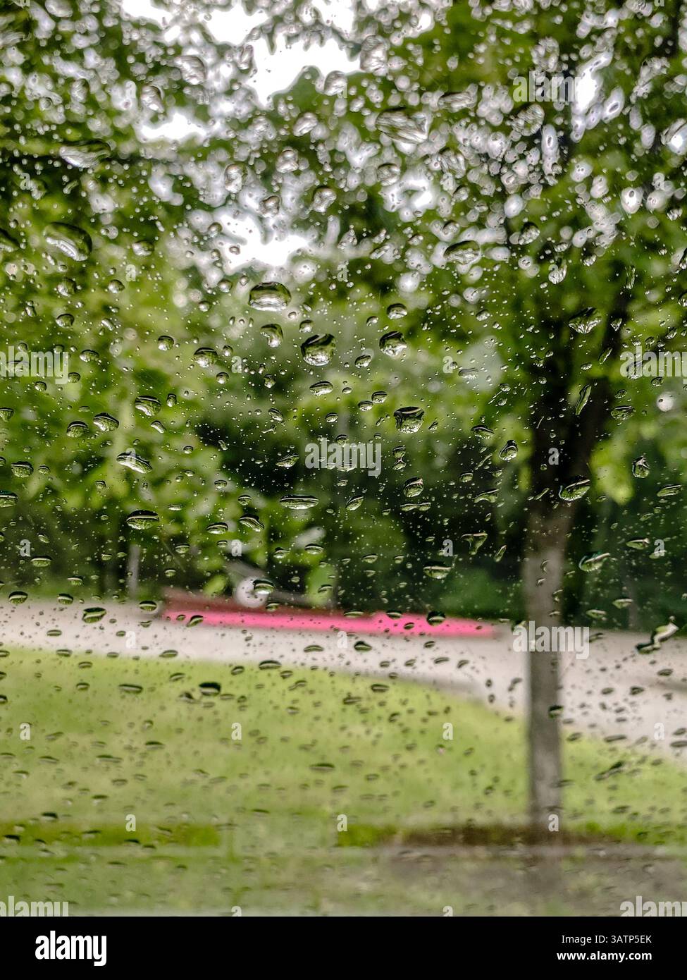 Raindrops on window with blurred green trees background Stock Photo