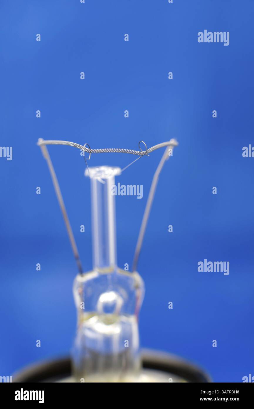 A macro shot of a bulb glower Stock Photo