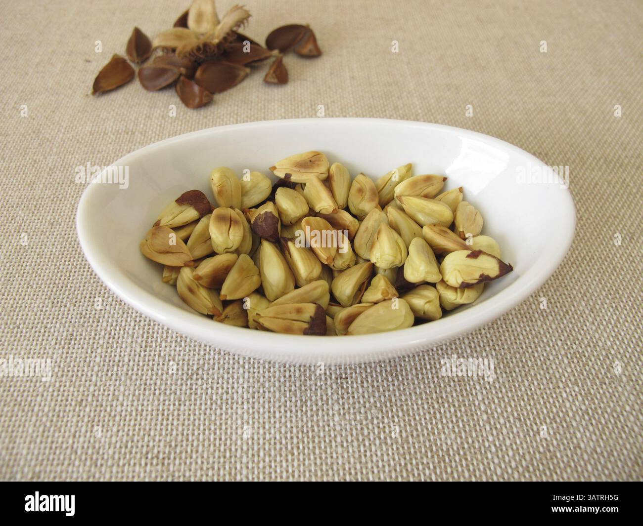 A small bowl of freshly roasted beechnuts Stock Photo