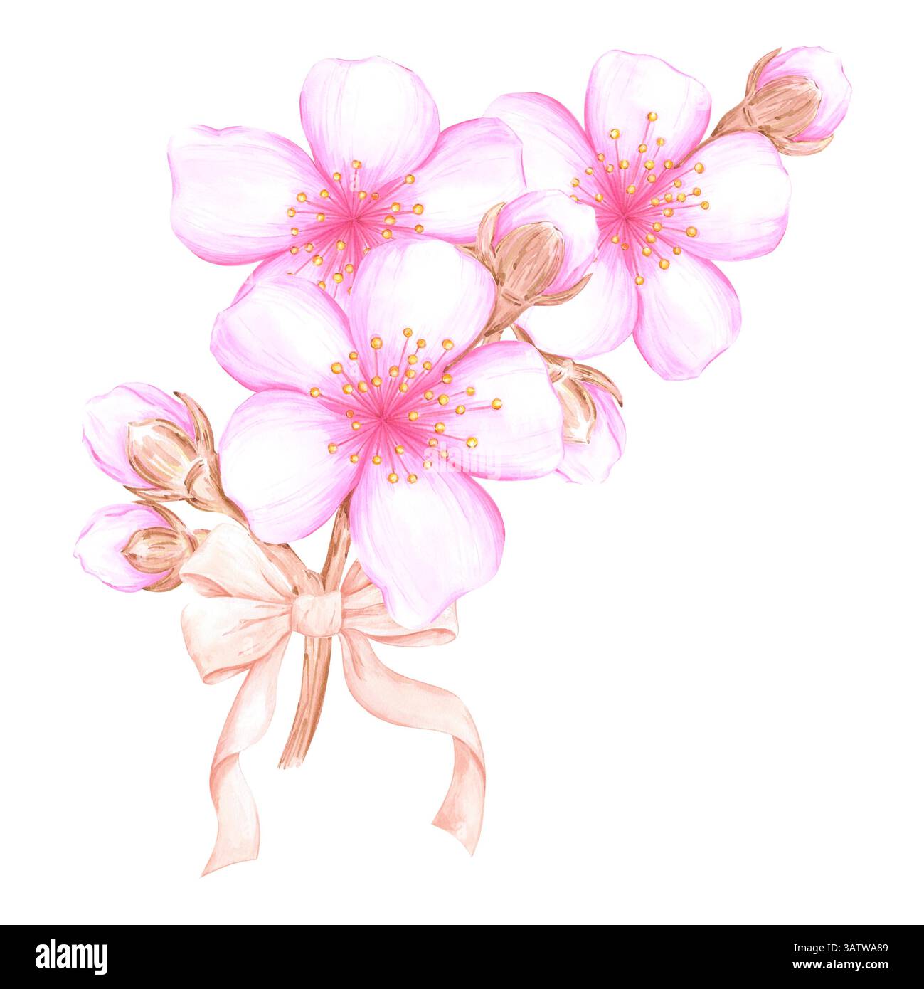 Hand drawn watercolor cherry blossom branch composition with a bow ...