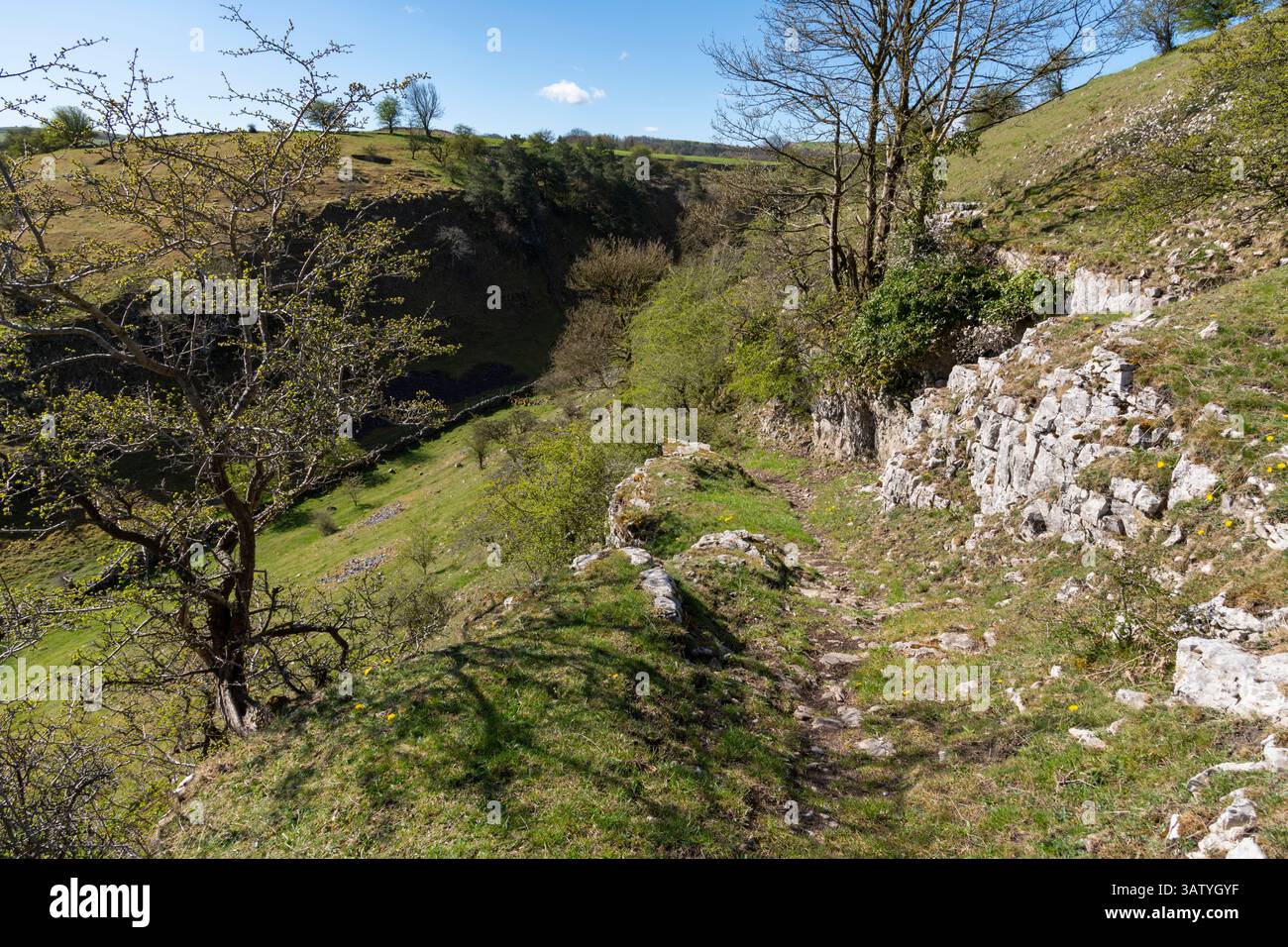 Deepdale nature reserve near Buxton in the  Peak District, Derbyshire, England. Stock Photo