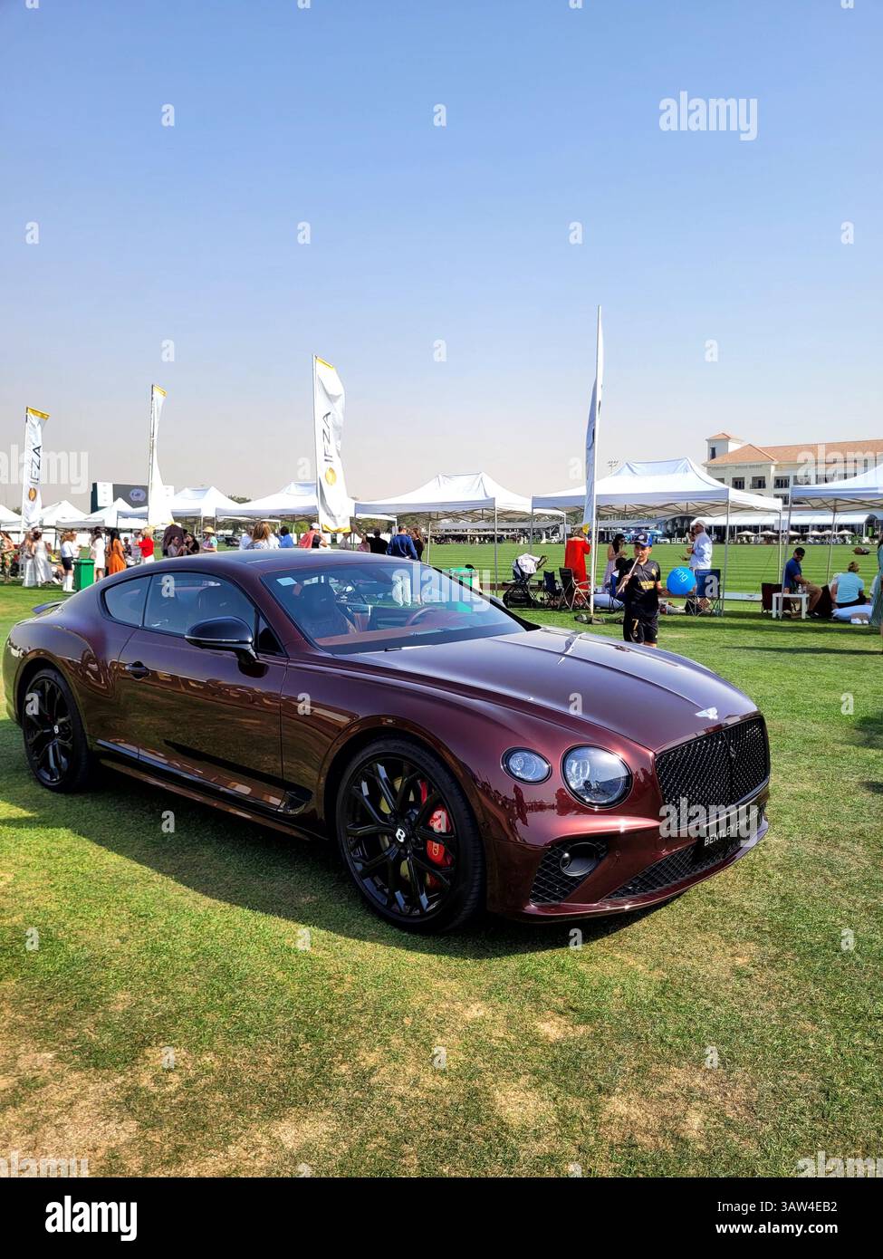 the-bentley-continental-gt-luxury-grand-touring-car-produced-by-bentley