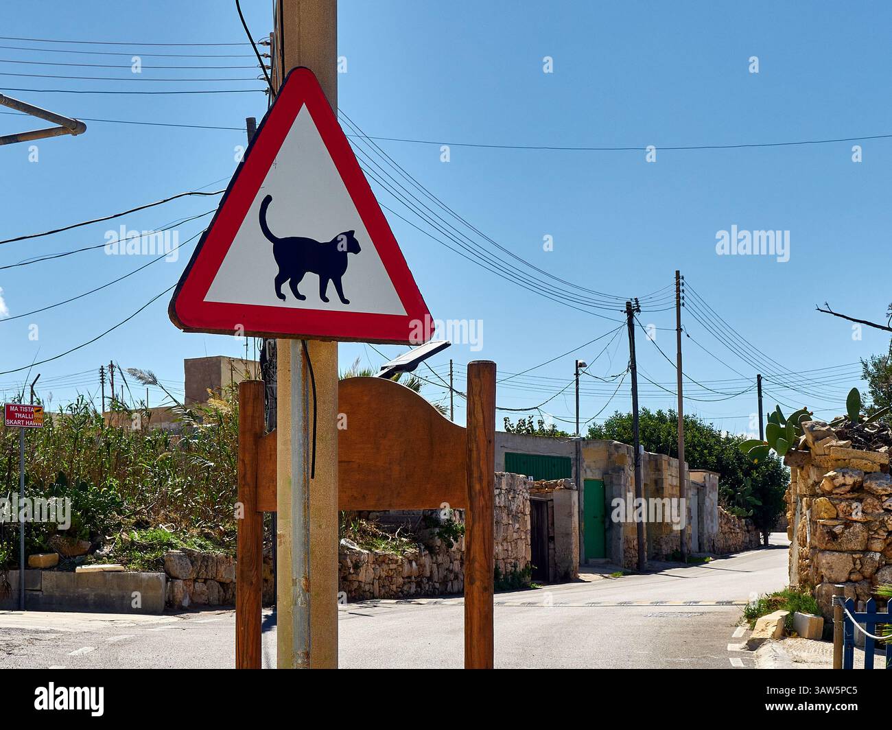 Road sign warning of cats crossing street Stock Photo - Alamy
