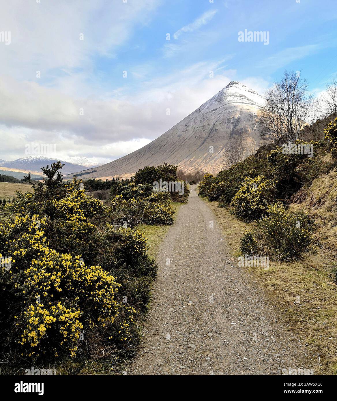 Tyndrum to Inveroran section of the West Highland Way long distance walking trail in the Highlands of Scotland. Views to Beinn Dorain, and Glen Orchy. - Smartphone Captured Stock Image