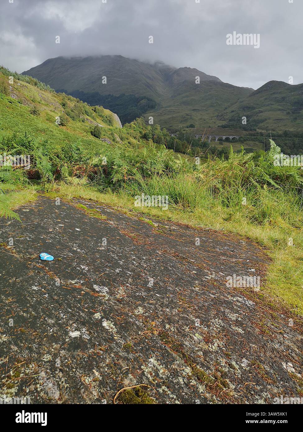 The real location where Bonnie Prince Charlie raised the Royal Standard during the 1745 rebellion in Glenfinnan. Latin engraved rock. - Smartphone Captured Stock Image