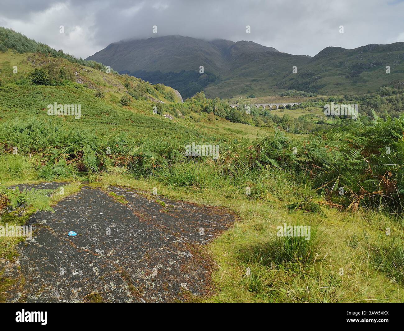 The real location where Bonnie Prince Charlie raised the Royal Standard during the 1745 rebellion in Glenfinnan. Latin engraved rock. - Smartphone Captured Stock Image