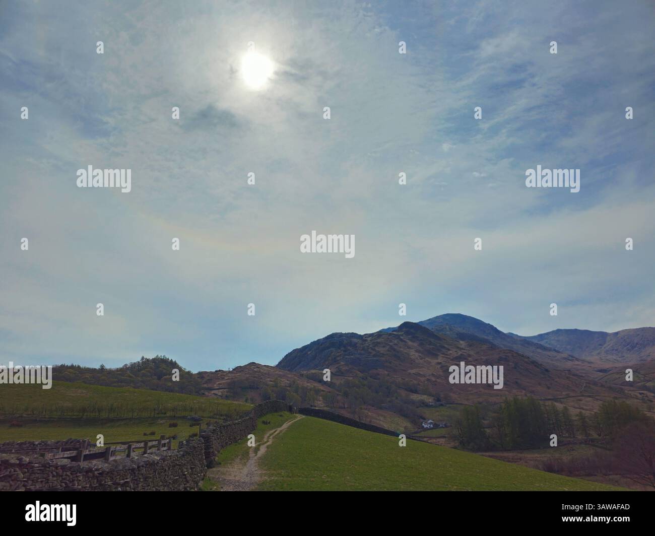 Classic Lake District Landscape Showing Green Fields Divided By classic-lake-district-landscape-showing-green-fields-divided-by