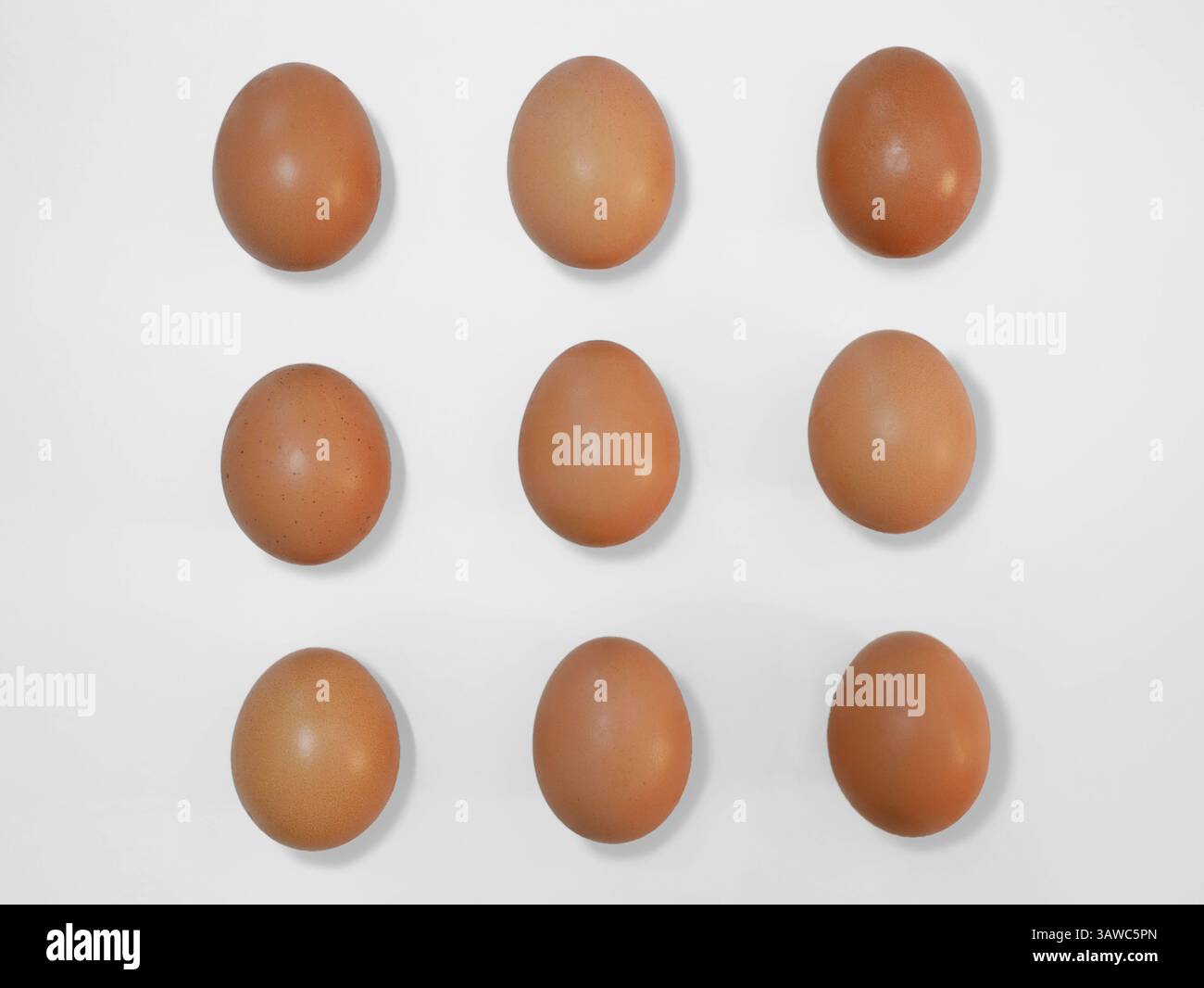 Raw brown chicken eggs on a white background with copy space. Stock Photo