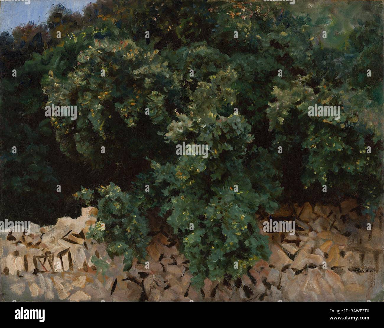 Title: Ilex Wood. Majorca Artist: John Singer Sargent Date: 1908 Technique: Oil on canvas Dimensions: 57 x 71 cm Location: Carmen Thyssen Collection Stock Photo