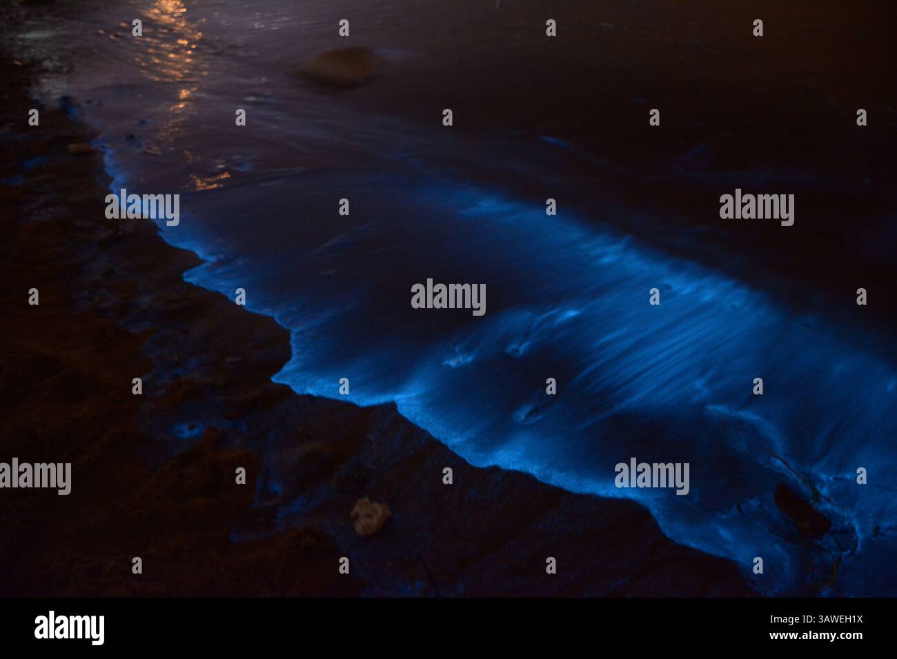 Algal bloom china sea hi-res stock photography and images - Alamy