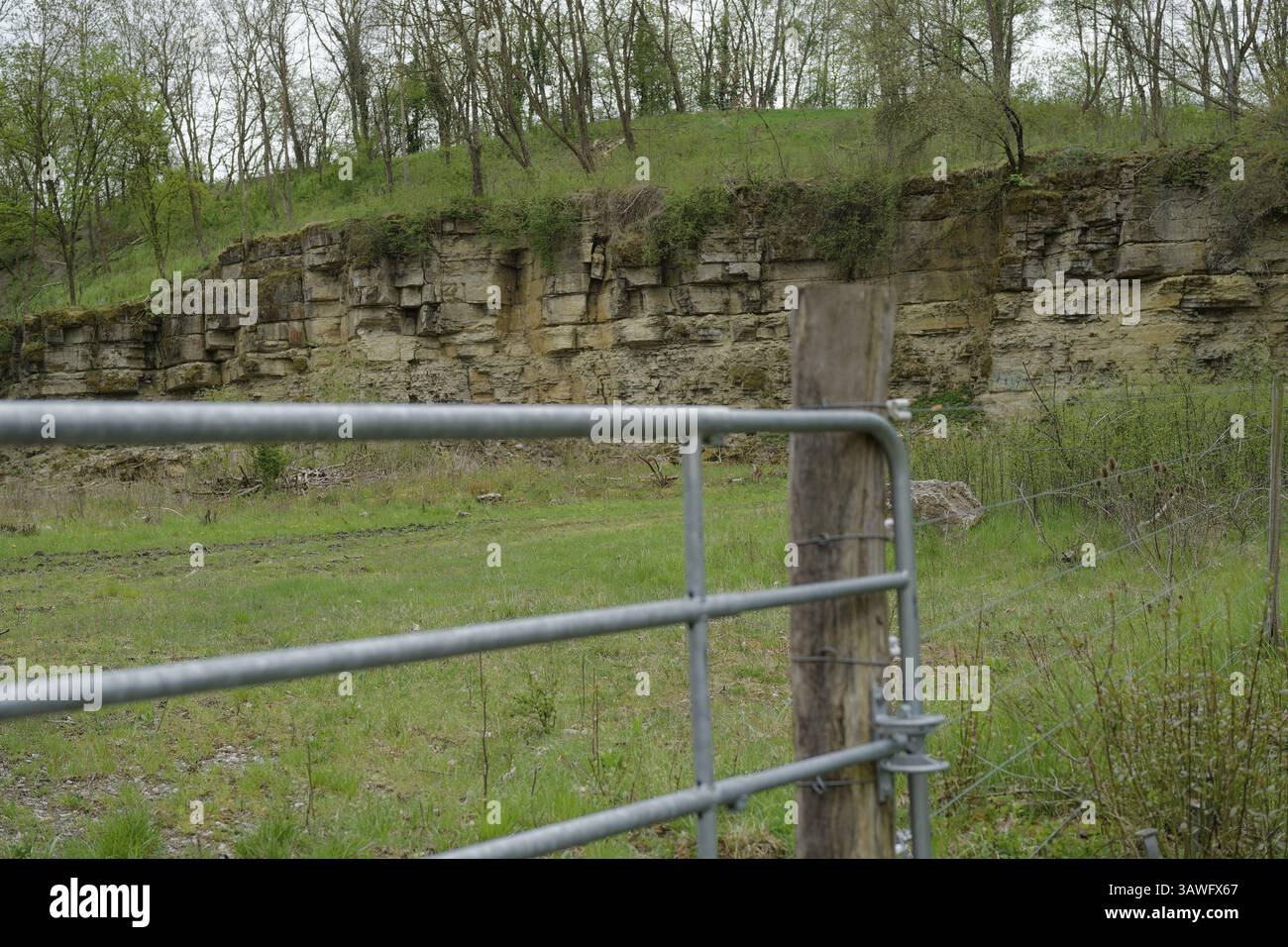 Disused shell limestone outcrop, quarry, geology, shell limestone ...
