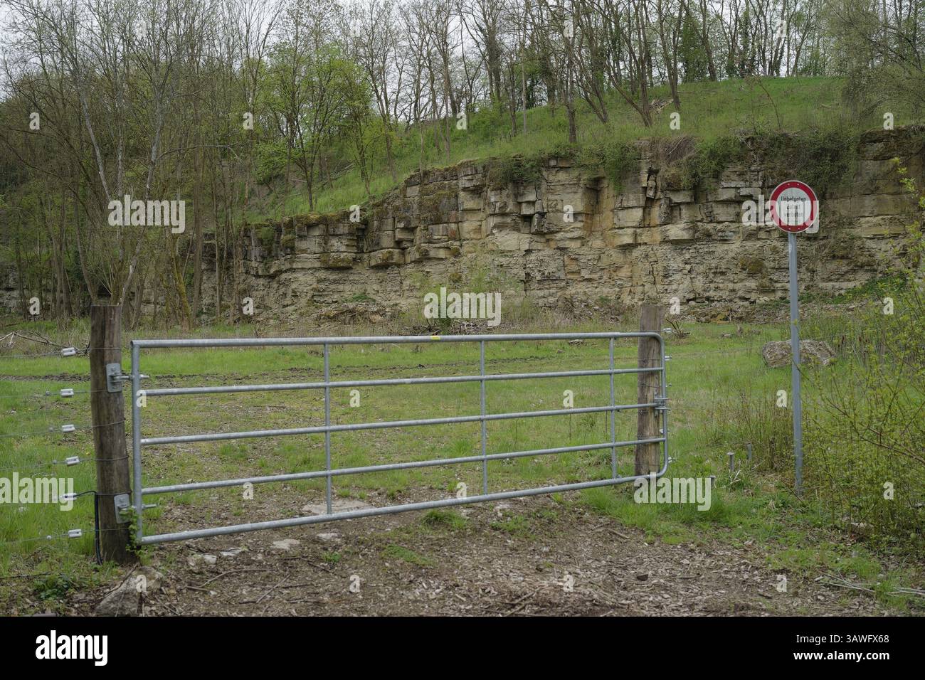 Disused shell limestone outcrop, quarry, geology, shell limestone ...