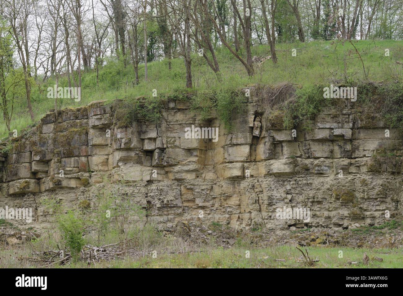 Disused shell limestone outcrop, quarry, geology, shell limestone ...