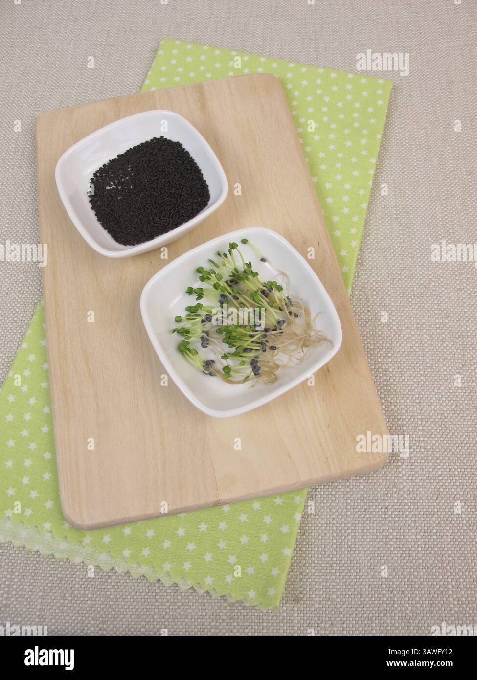 Basil sprouts and basil sprout seeds Stock Photo