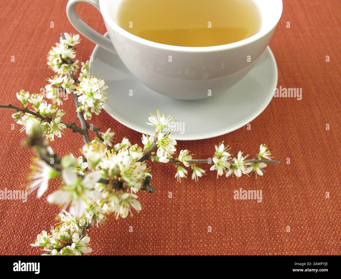 This is a good example. Tea Stock Photo - Alamy