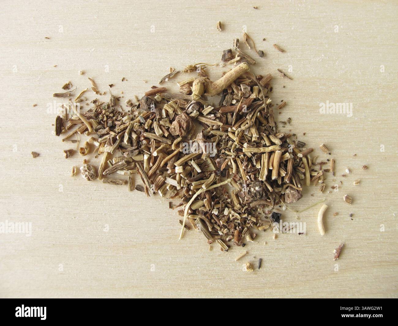 Primrose root, Primulae radix Stock Photo - Alamy