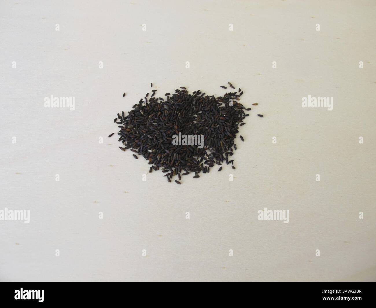 Garlic rocket seeds Stock Photo