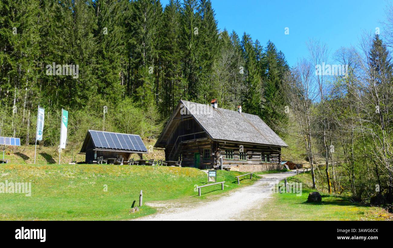 alte Holzhütte im herbstlichen Wald mit Blättern bestreut 4434850  Stock-Photo bei Vecteezy, image size:1300x821