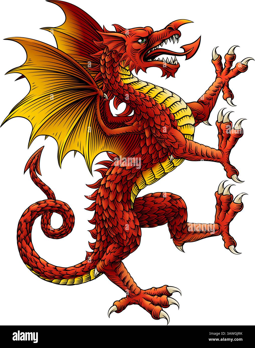 Coat Of Arms Crest Rearing Heraldry Welsh Dragon Stock Vector Image Coat Of Arms Crest Rearing Heraldry Welsh Dragon Stock Vector Image