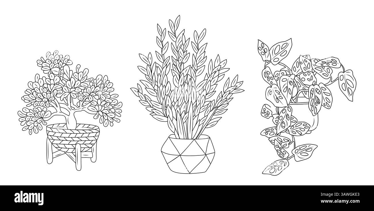 Minimalist line art vector popular houseplants set Stock Vector